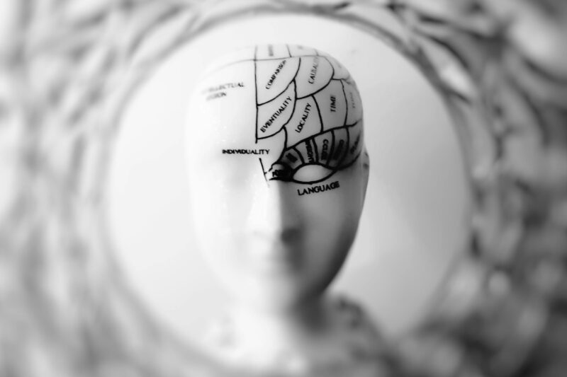 Photo by meo: https://www.pexels.com/photo/photo-of-head-bust-print-artwork-724994/